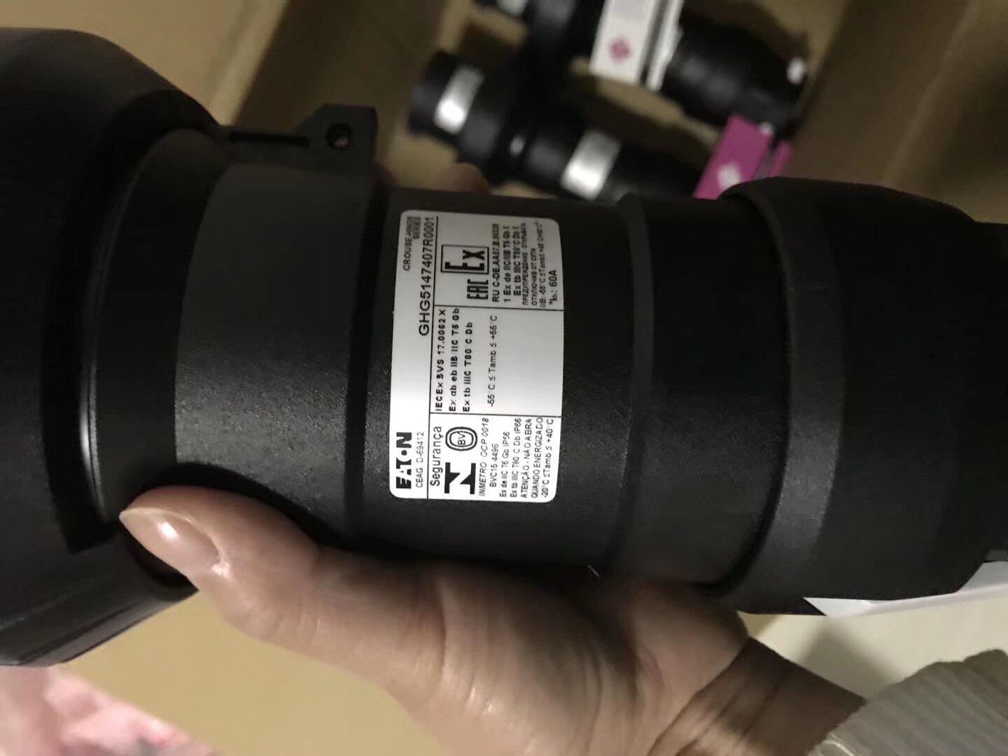 2025優(yōu)勢供應(yīng)CEAG GHG5173506R0001